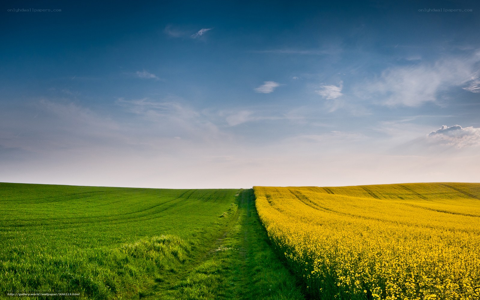 Green and yellow fields under blue sky