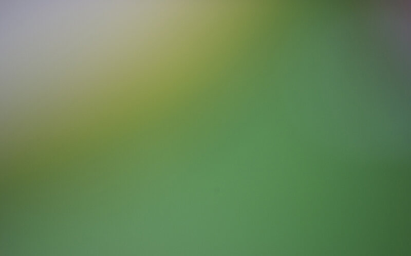 Green and Yellow Gradient — Neutral