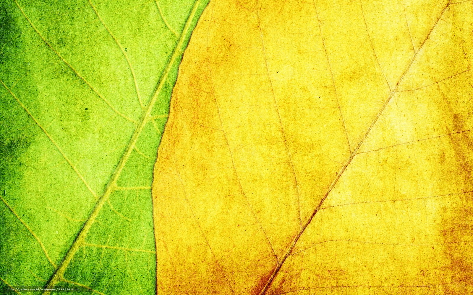 green and yellow leaf texture