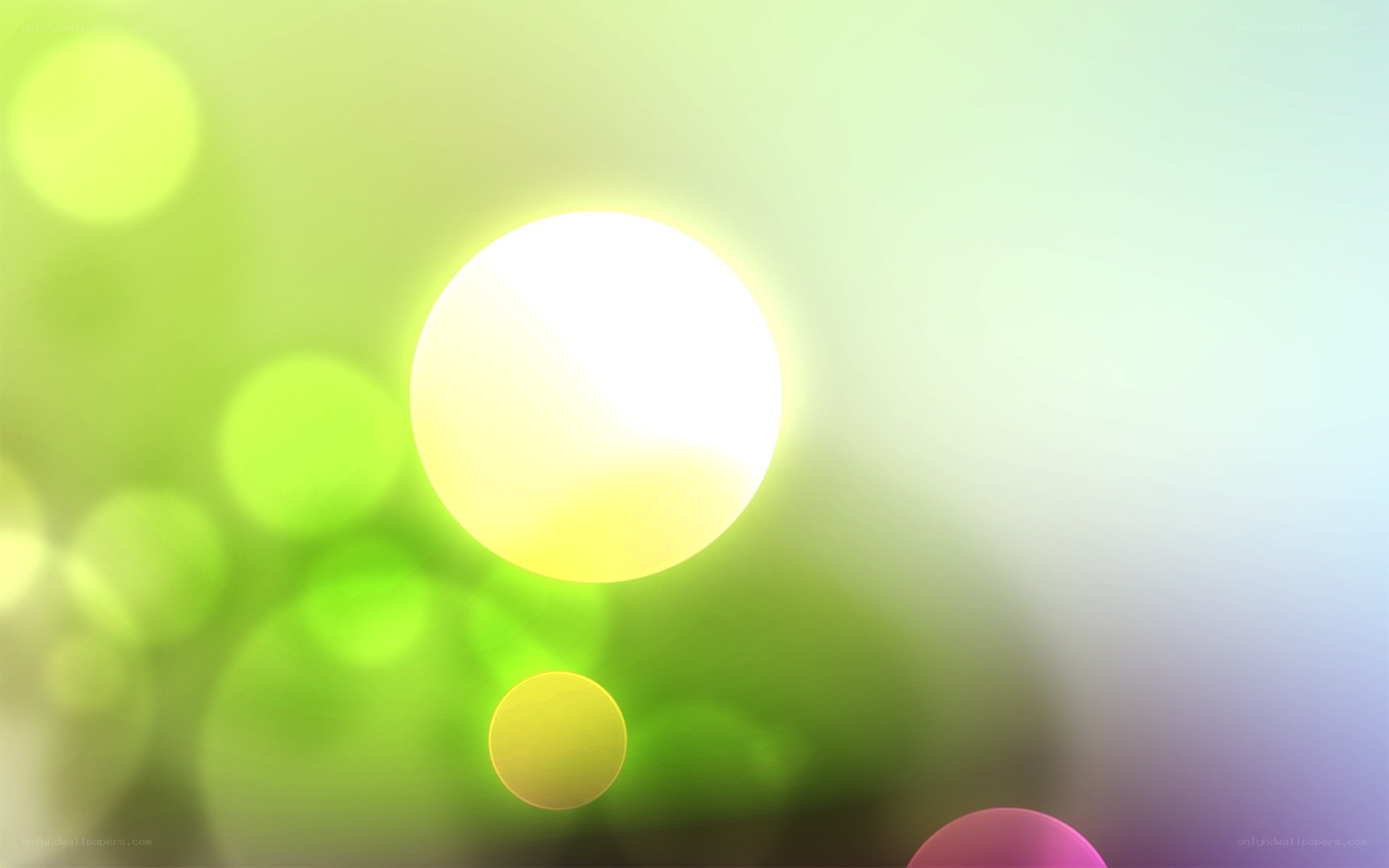 green and yellow light circles