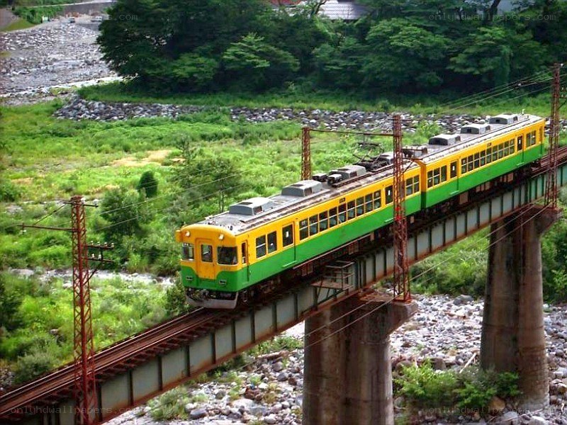Green and yellow train on a bridge