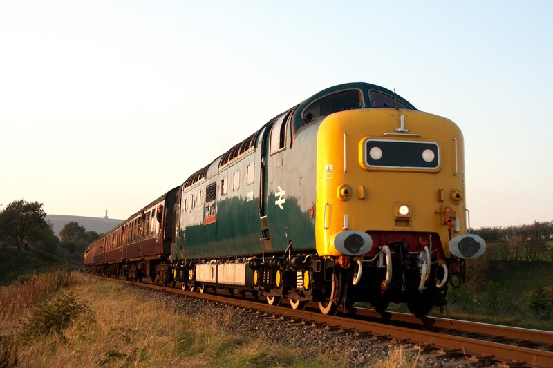 Green and Yellow Train — Serene