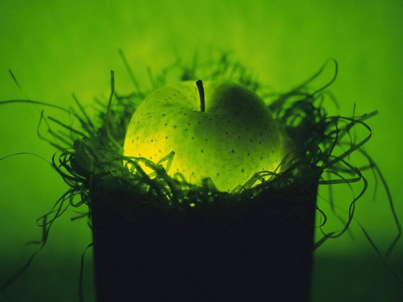 Green Apple in Nest