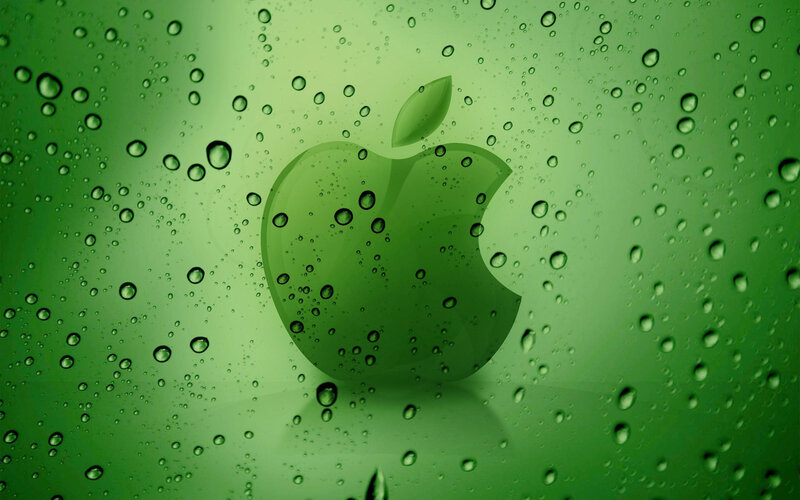 Green Apple Logo — Calm