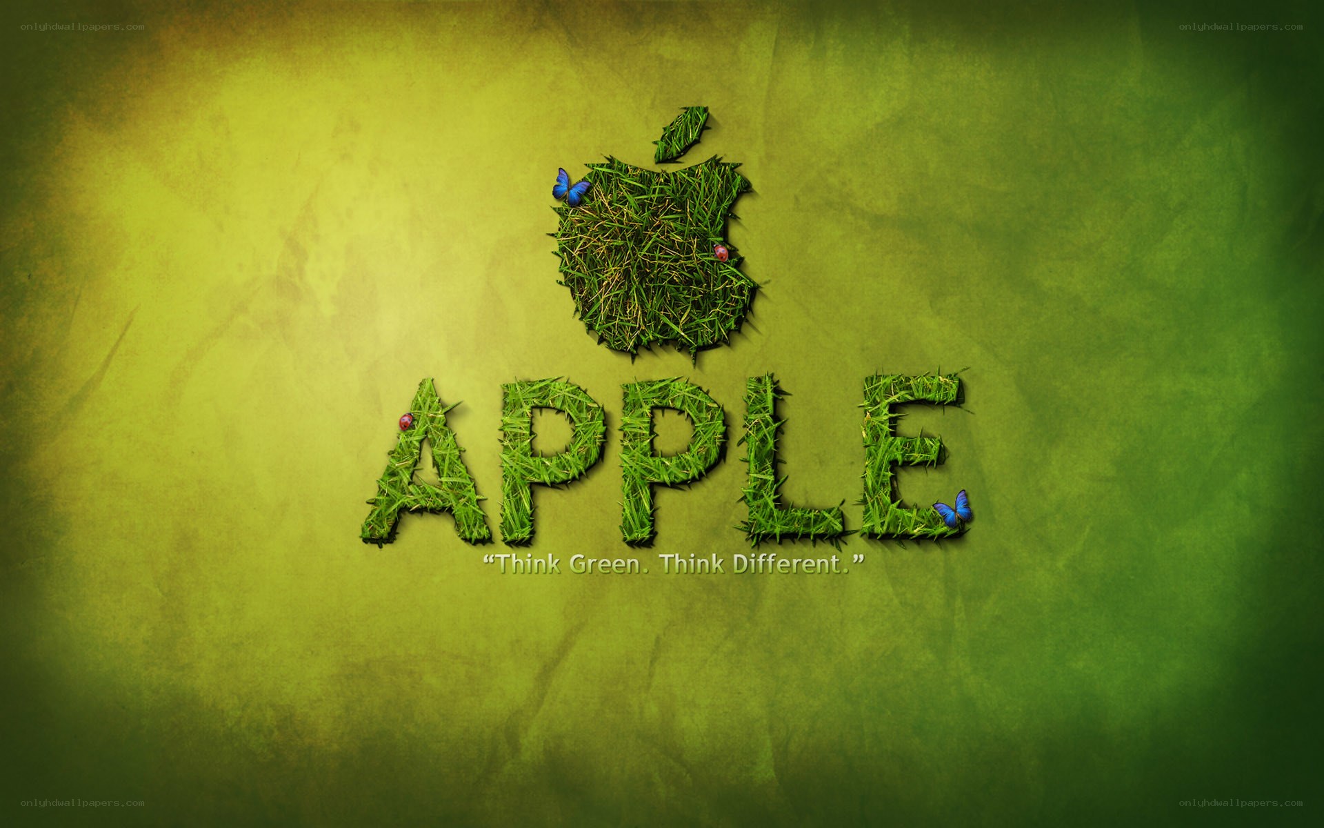 Green apple logo design