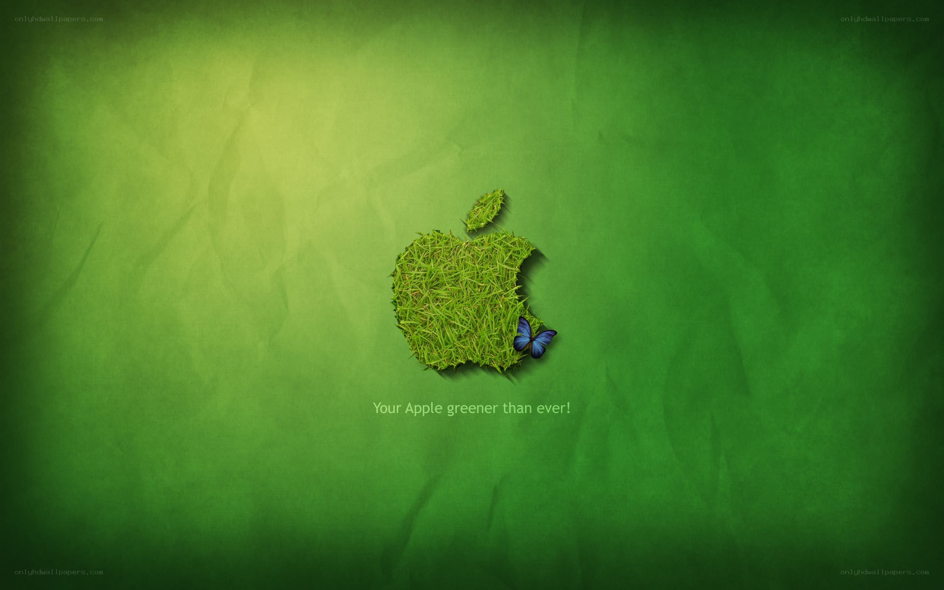 Green apple logo with butterfly