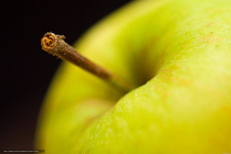Green Apple Stem — Dramatic