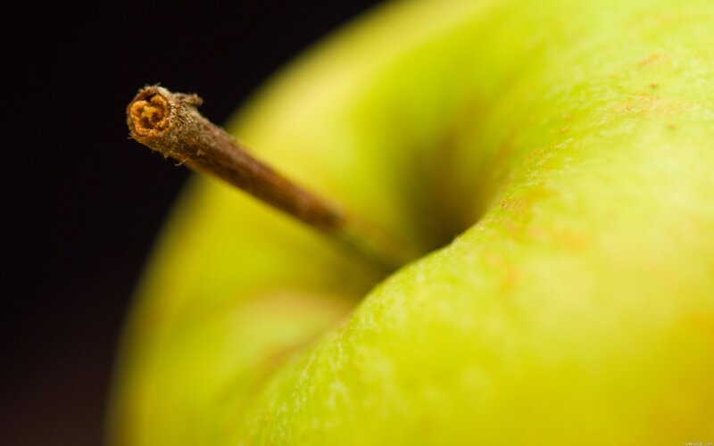 Green Apple Stem