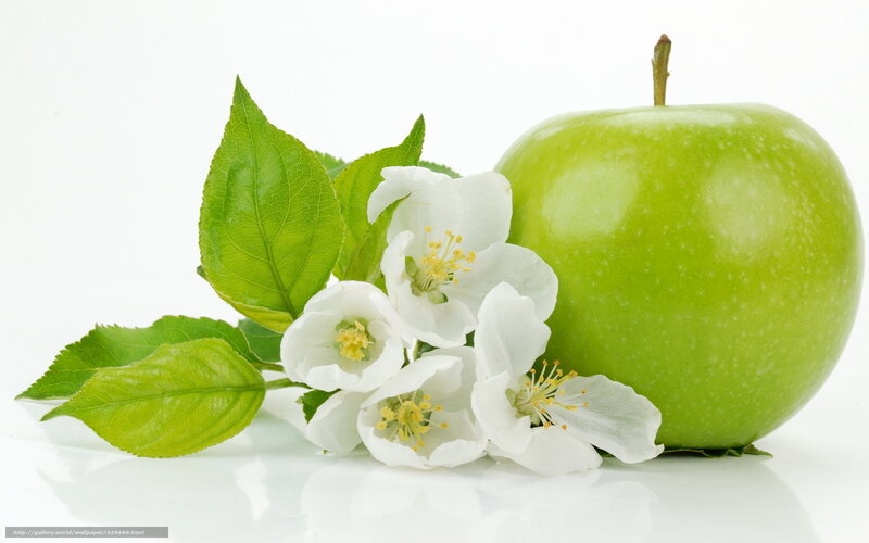 Green Apple with Blossoms — Serene, Spring, Photograph