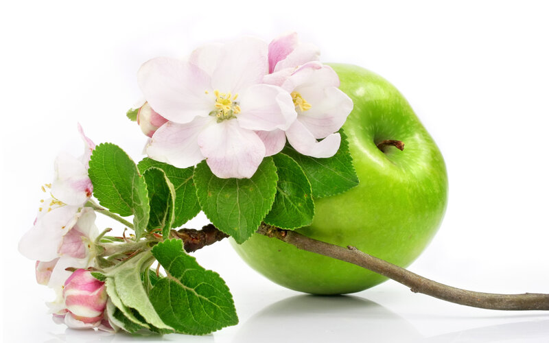 Green Apple with Blossoms — Serene, Spring