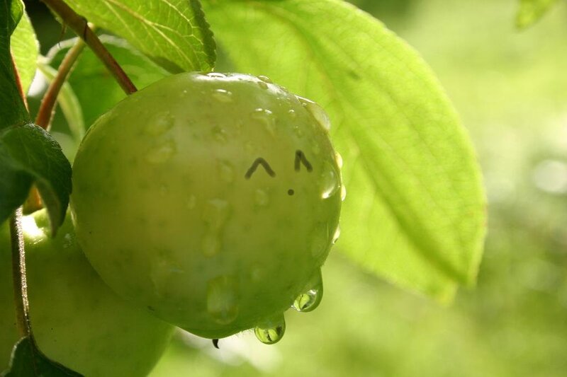 green apple with face drawing