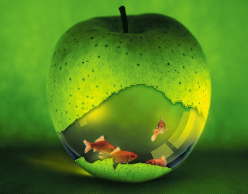 Green Apple with Fish