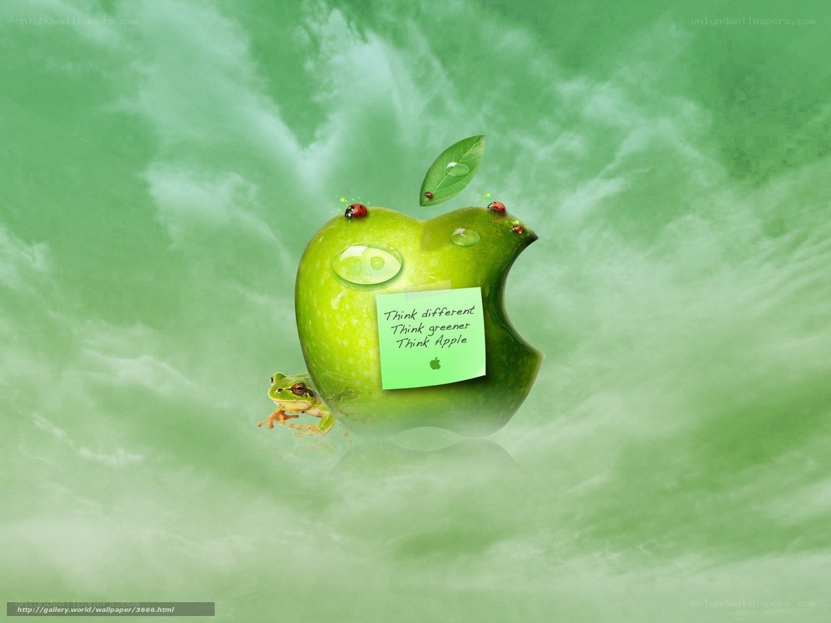 Green apple with frog and ladybugs