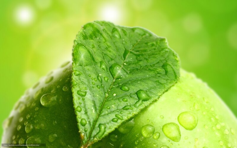 Green Apple with Leaf — Fresh