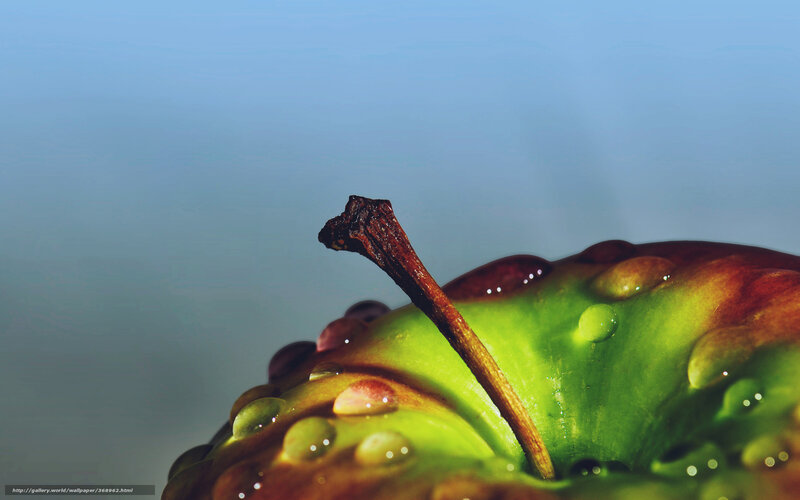 Green Apple with Stem — Dramatic