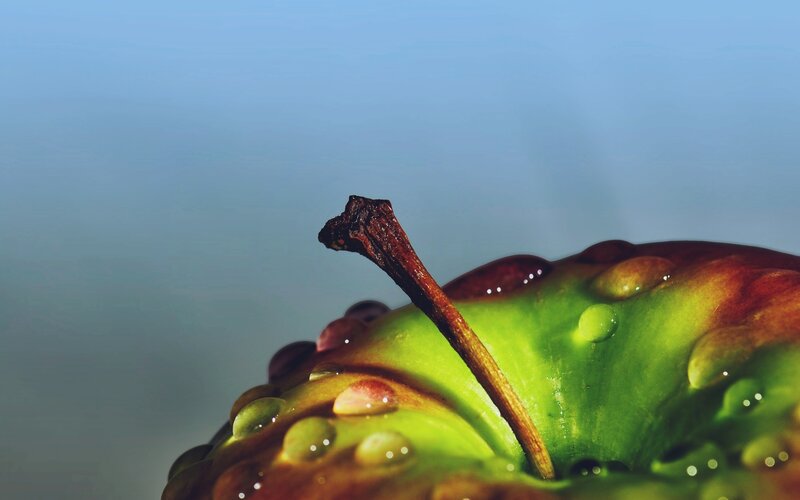 Green Apple with Stem — Serene
