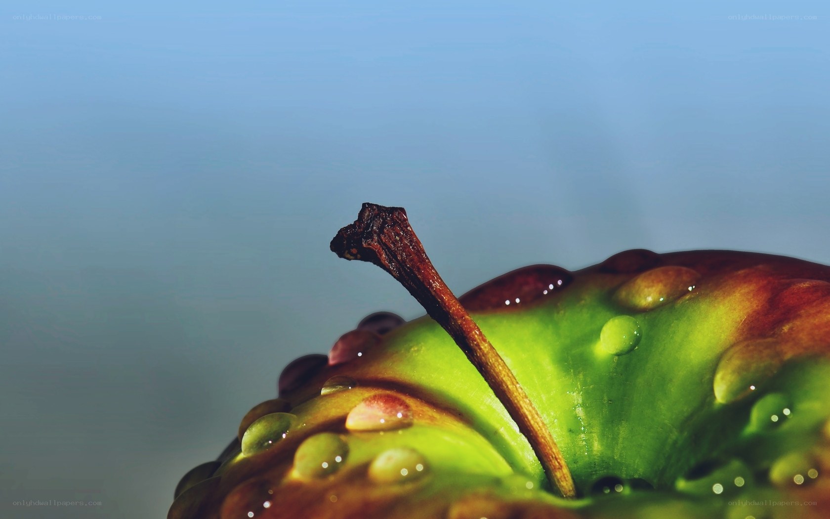 green apple with water droplets