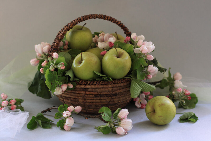 Green Apples in Basket — Serene