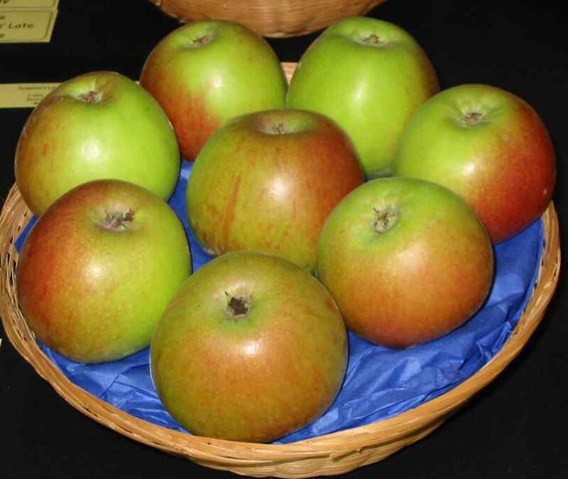 Green Apples in Basket