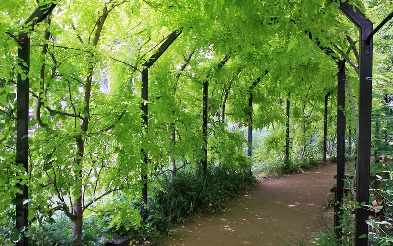 Green Arbor Pathway — Serene, Afternoon