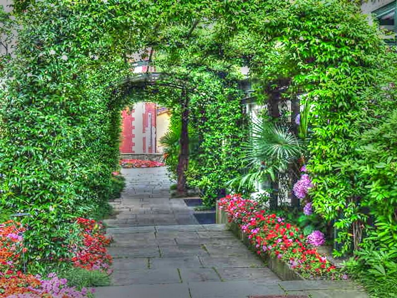 Green Arbor Pathway — Serene