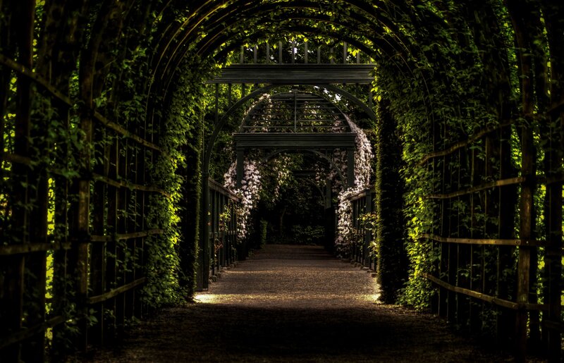 Green Arbor Tunnel