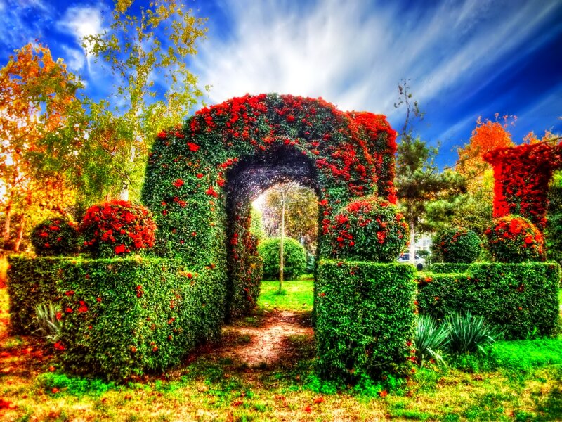 Green Arch with Red Flowers