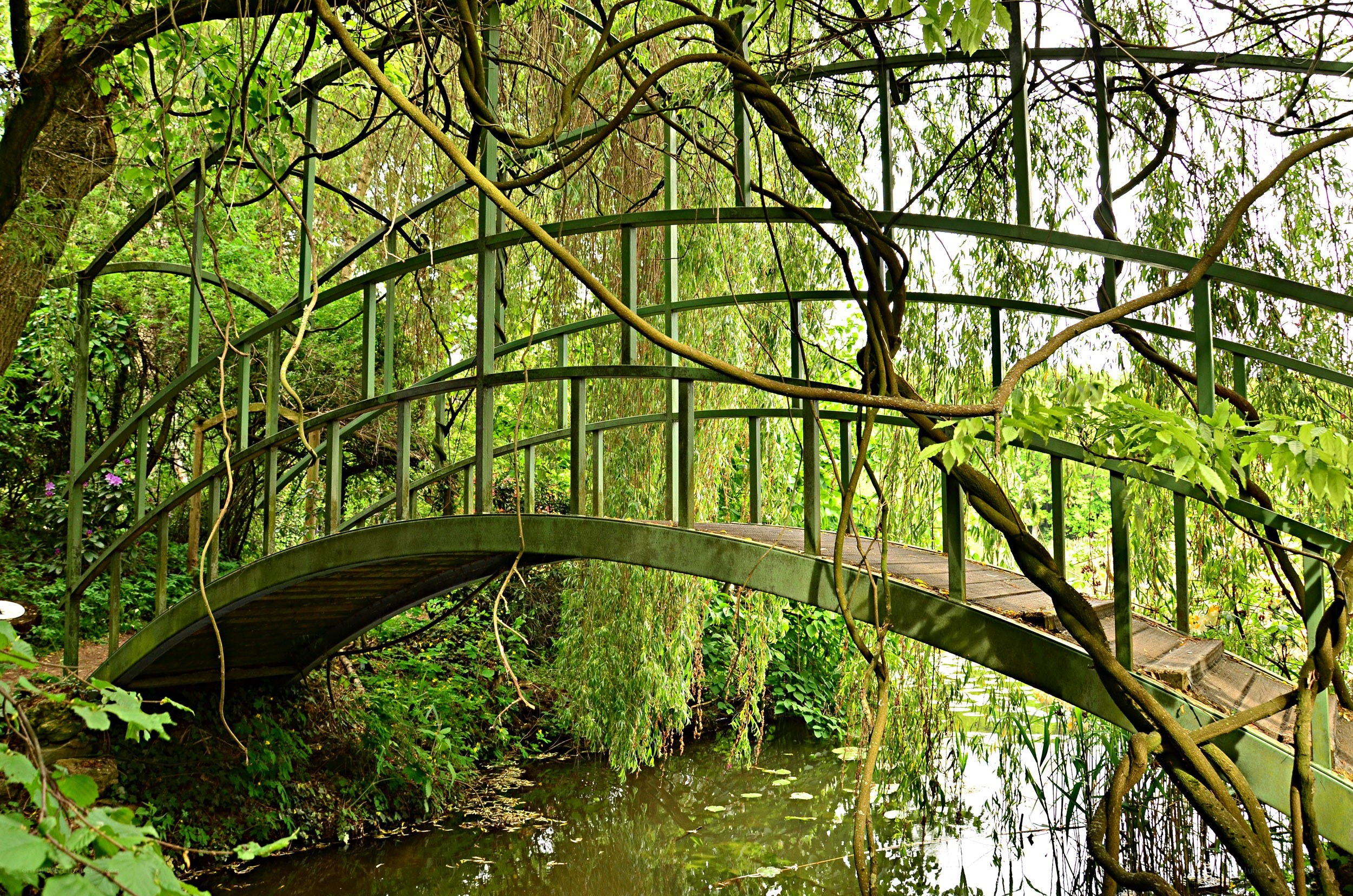 Green arched bridge in garden