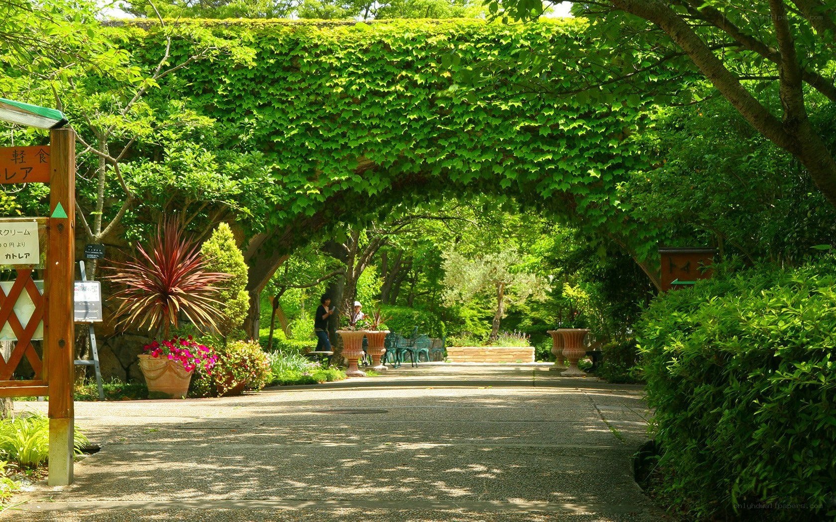 green archway in garden
