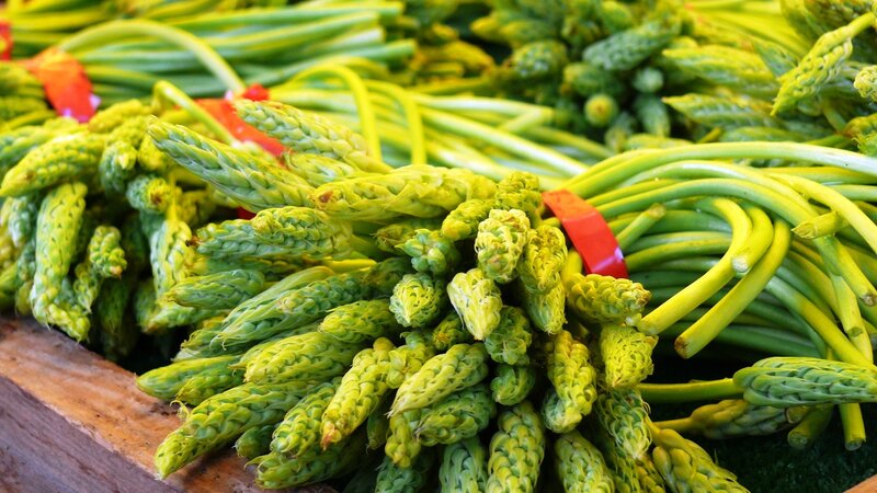 Green Asparagus Spears