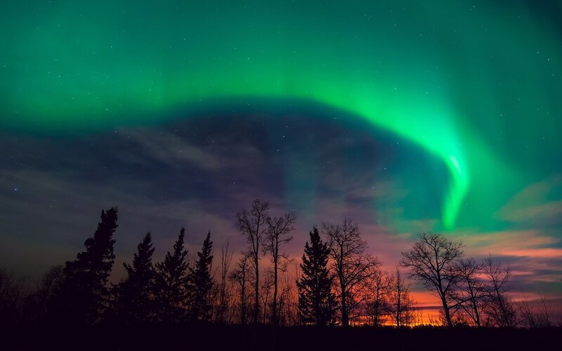 Green Aurora Borealis — Dramatic, Night, Photograph, Trees, Sky, Clouds