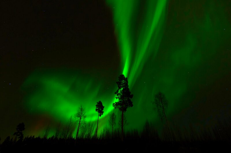 Green Aurora Borealis — Dramatic, Night, Photograph, Trees, Sky