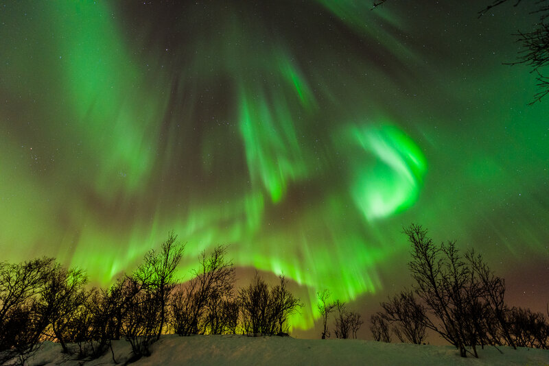 Green Aurora Borealis — Dramatic, Night, Photograph, Trees, Snow