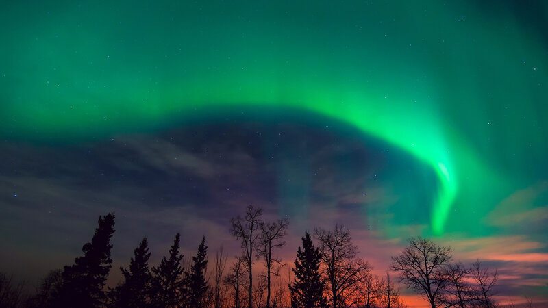 Green Aurora Borealis — Dramatic, Night, Photograph, Trees, Stars, Clouds
