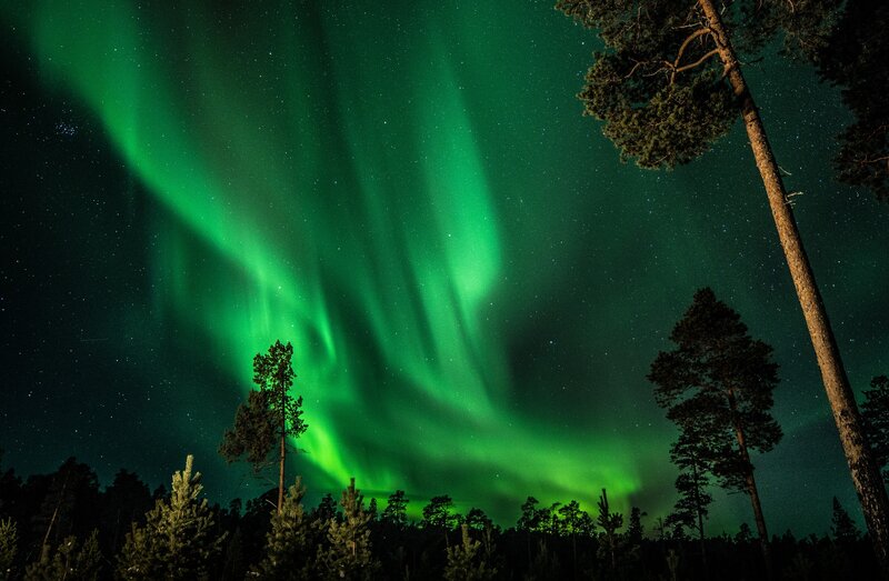 Green Aurora Borealis — Dramatic, Night, Photograph, Trees, Stars, Forest