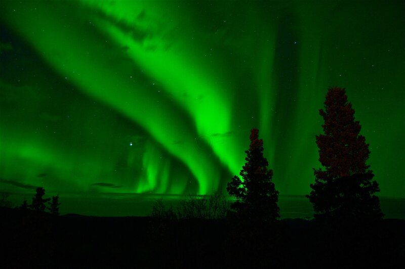 Green Aurora Borealis — Dramatic, Night, Photograph, Trees, Stars, Sky