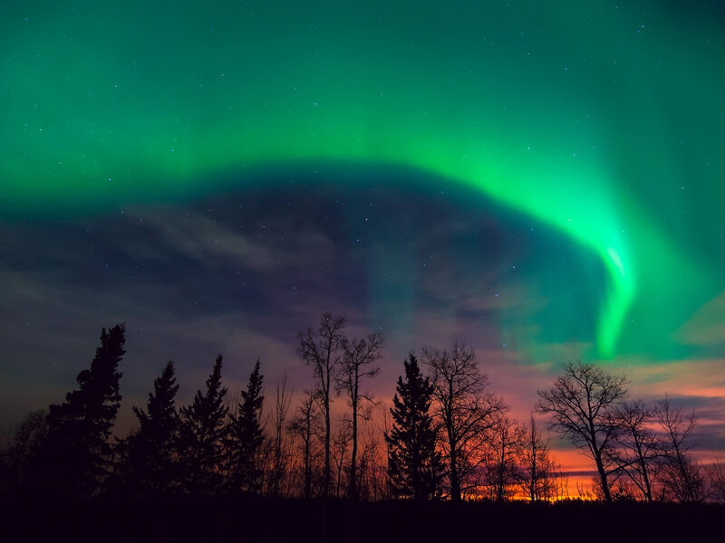 Green Aurora Borealis — Dramatic, Night, Photograph, Trees, Stars