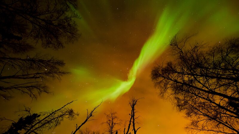 Green Aurora Borealis — Dramatic, Night, Photograph, Trees, Stars, Yellow