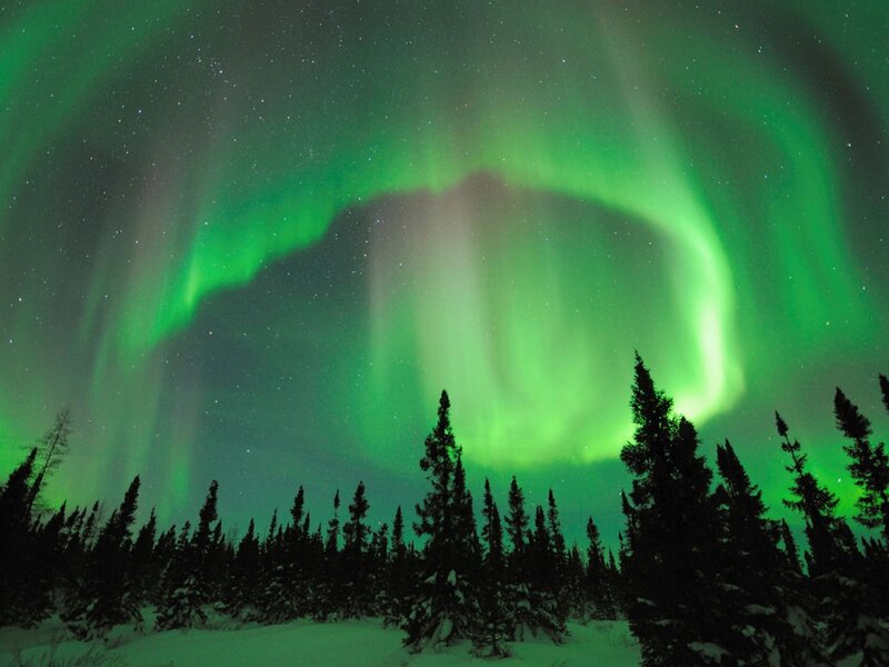 Green Aurora Borealis — Serene, Night, Photograph, Forest
