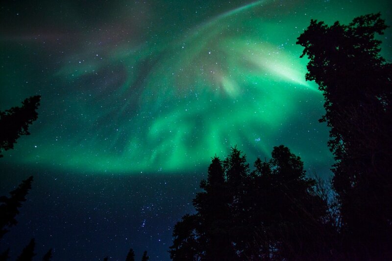Green Aurora Borealis — Serene, Night, Photograph, Trees, Stars