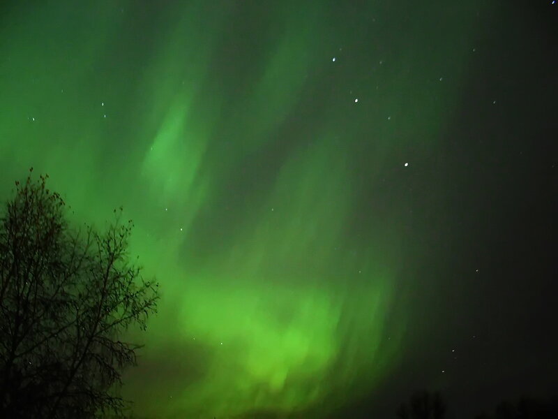 Green Aurora Borealis — Serene, Night, Photograph, Trees