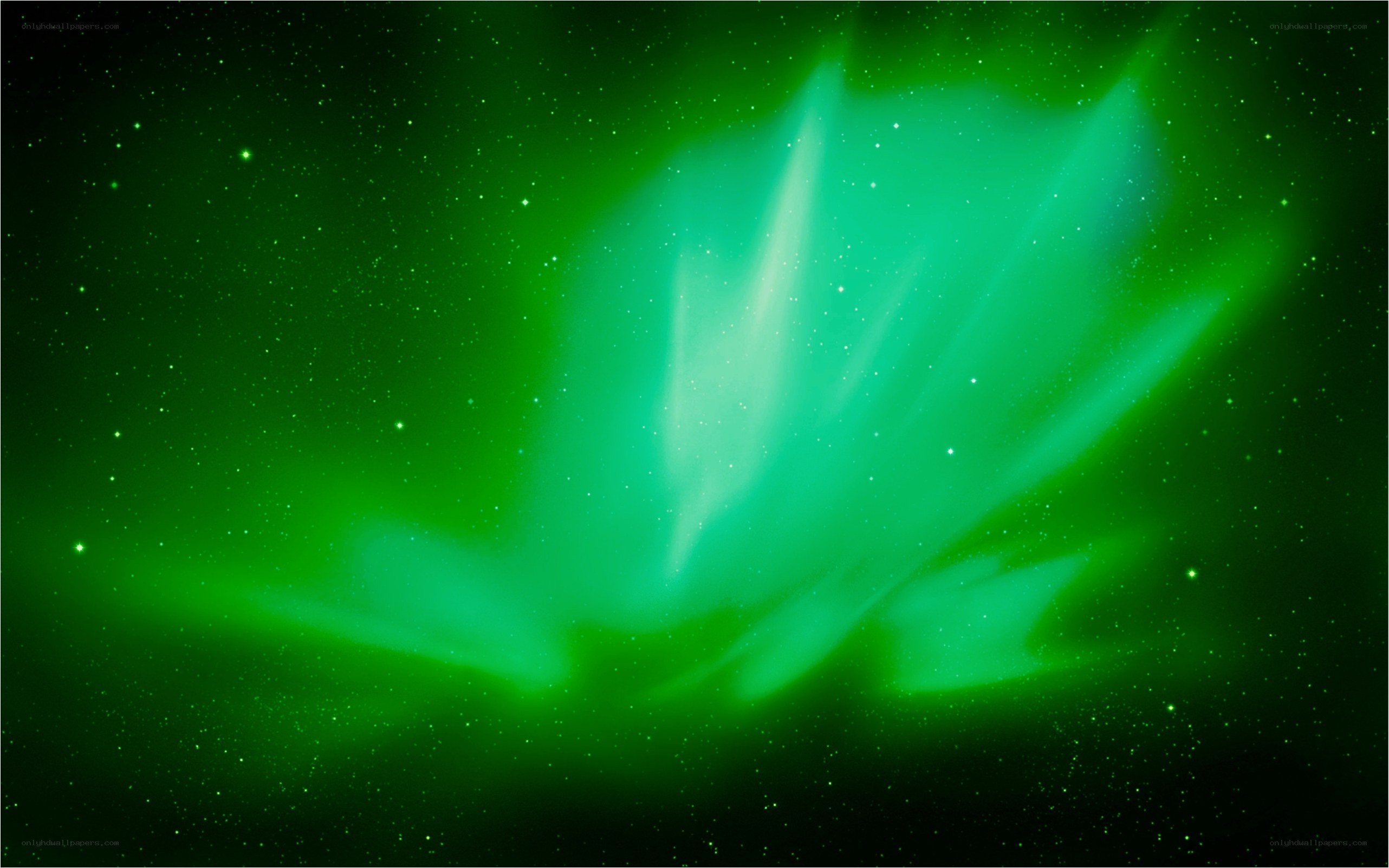 Green Aurora in the Night Sky