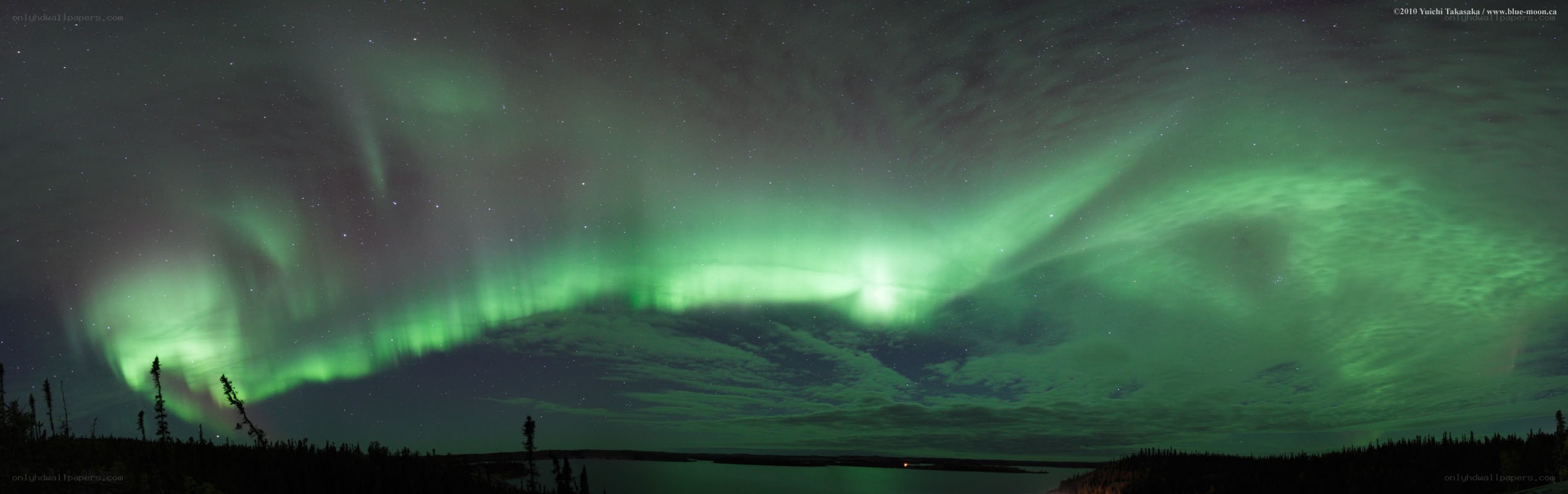 Green aurora over a forest lake