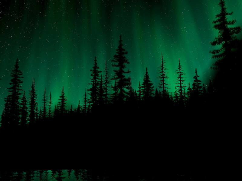 Green Aurora over Forest — Serene