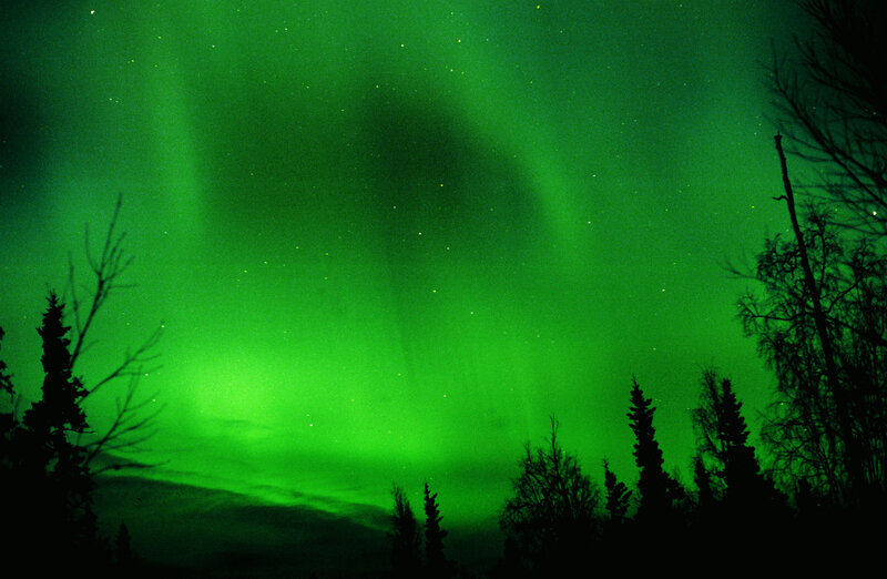 Green aurora over forest