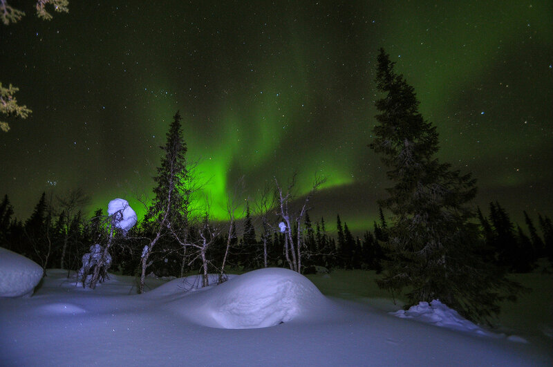 Green Aurora over Snow