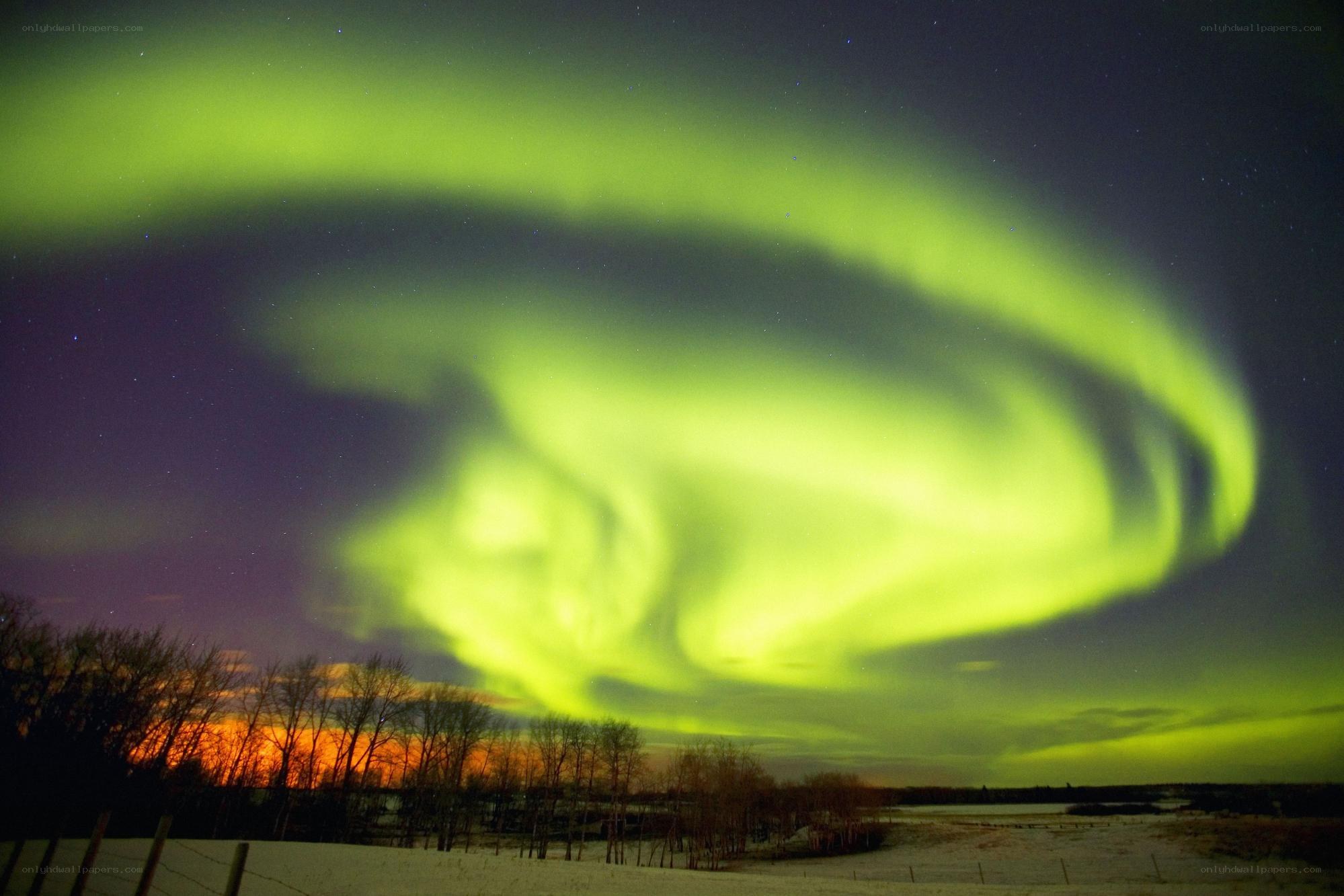 Green aurora over snowy landscape