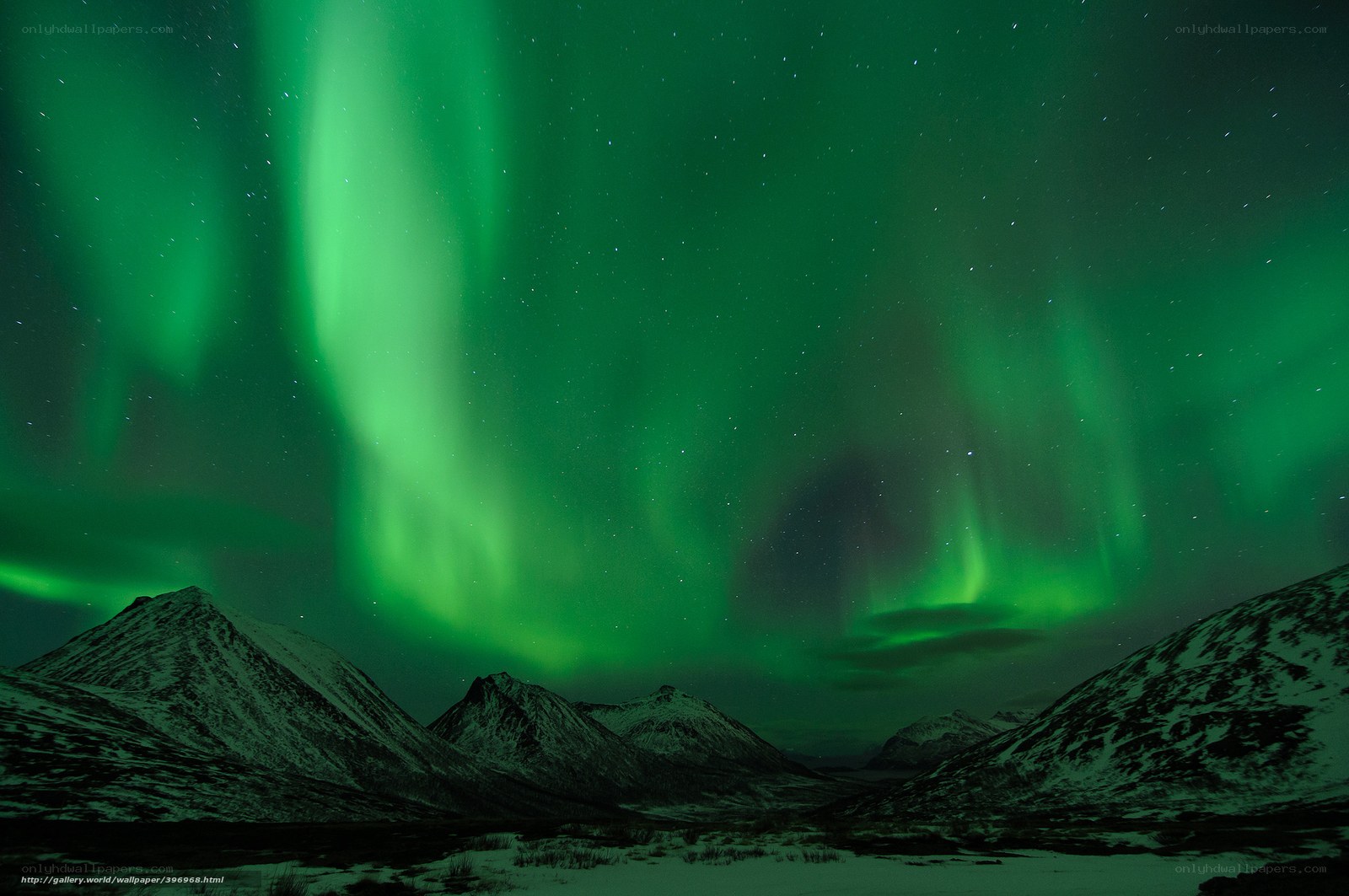 Green aurora over snowy mountains