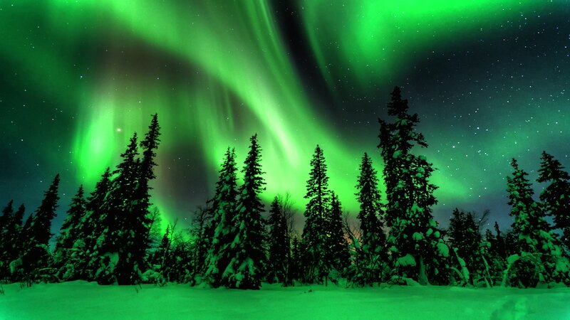 Green Aurora over Trees