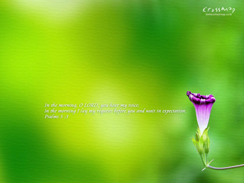 green background with purple flower